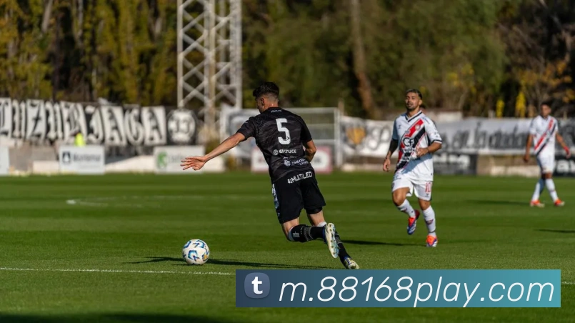 88棋牌平台生态图