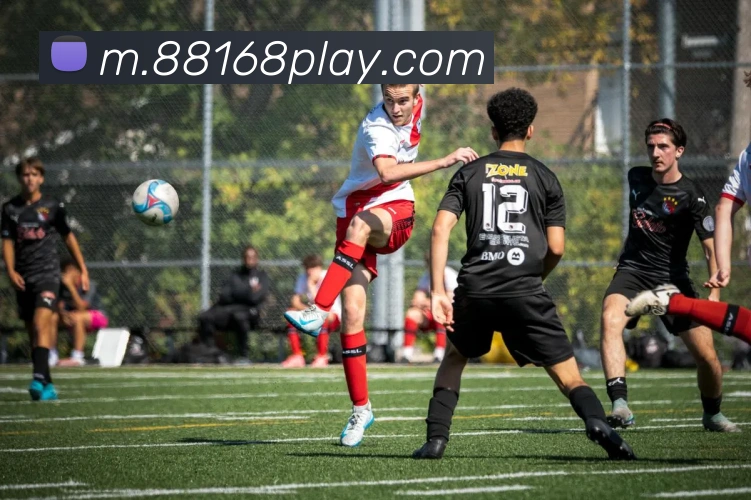 数据防护可视化